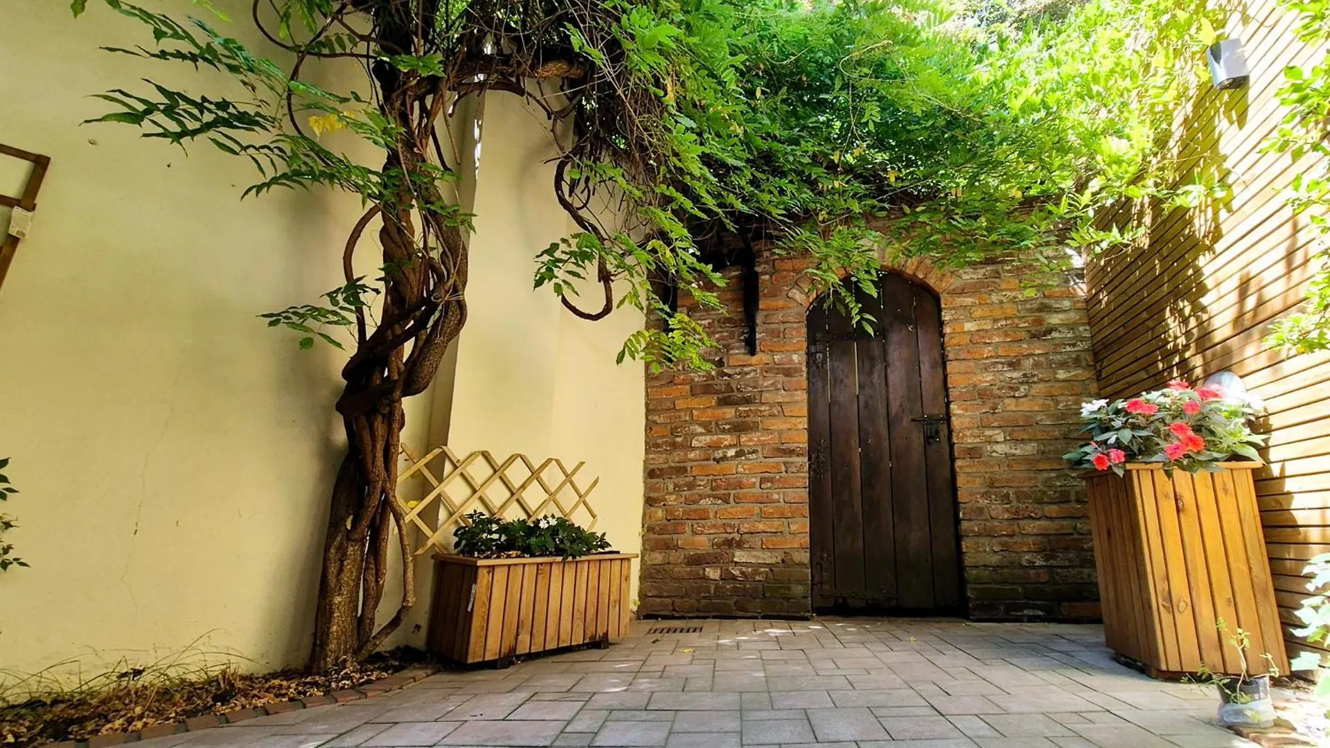 Pini Hostel - Przytulne Pokoje W Centrum Krakowa